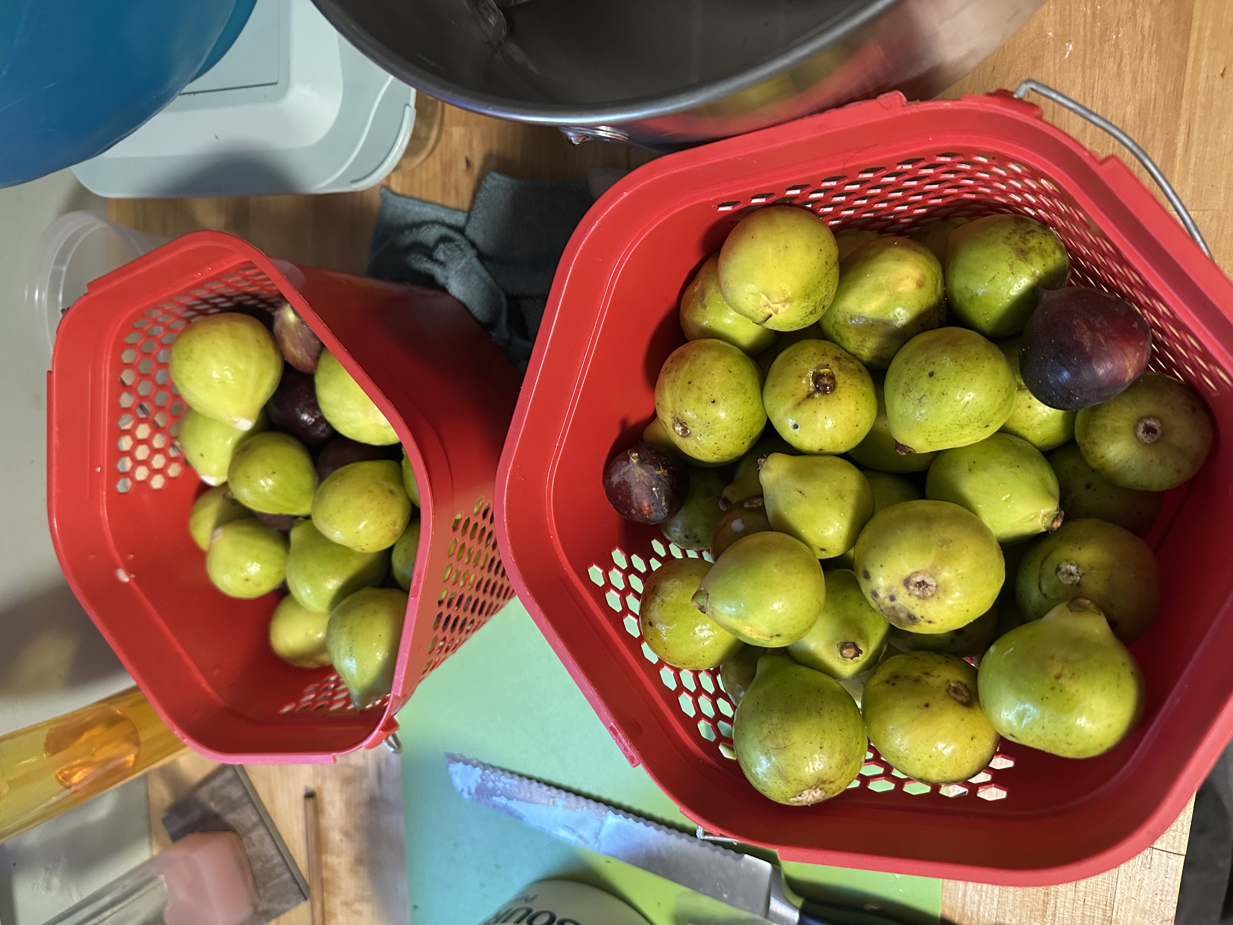 Fruit 25